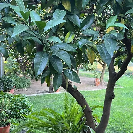 Vakantiehuis El Huerto De Lino *