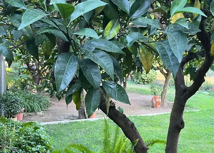 Ferienhaus El Huerto De Lino *